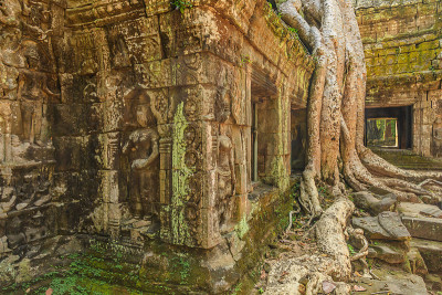 Ta Phrom 城堡，吴哥城，柬埔寨
