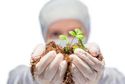 绿芽在研究生物学家手中的特写