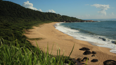 巴西的Balneario cambu