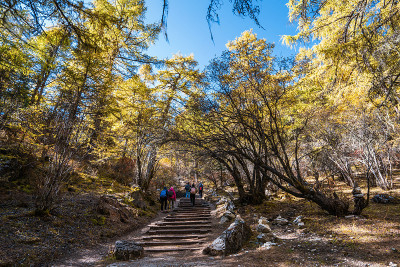 在山里徒步旅行。