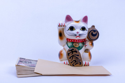 一只吸引人的猫和金钱来创造幸福。
