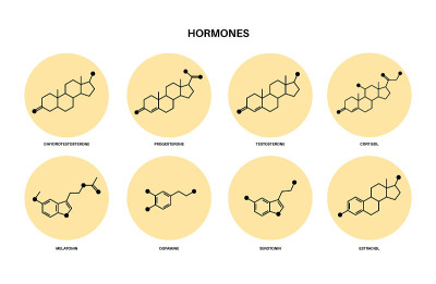 激素分子式