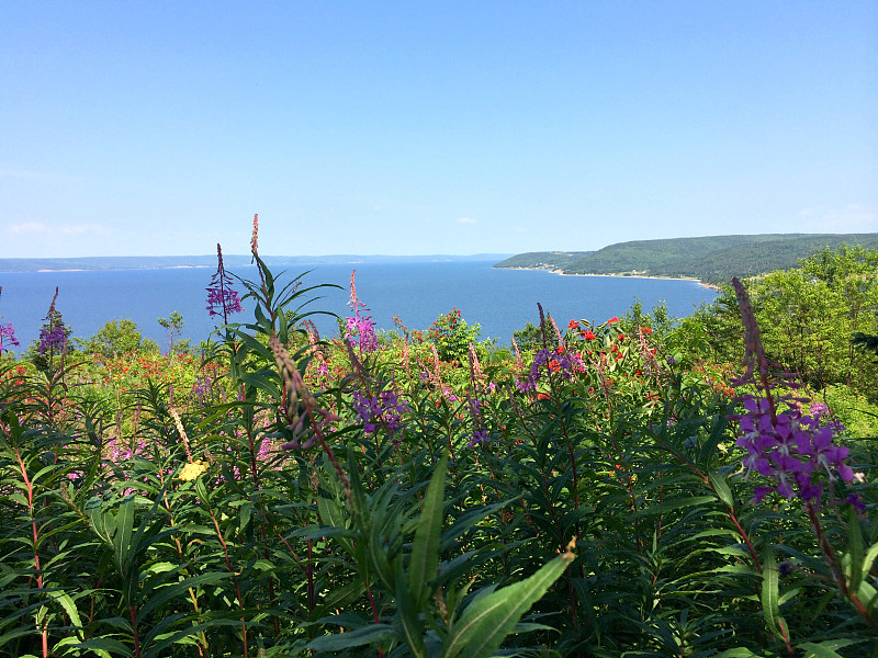 风景优美的布雷顿角景观与布拉斯D'or湖和野花。