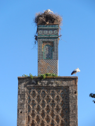 Chellah (Sala Colonia)，摩洛哥