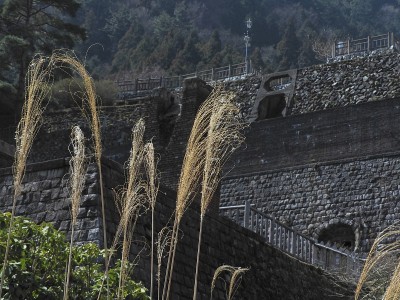 潘帕斯草和旧建筑的砖石痕迹
