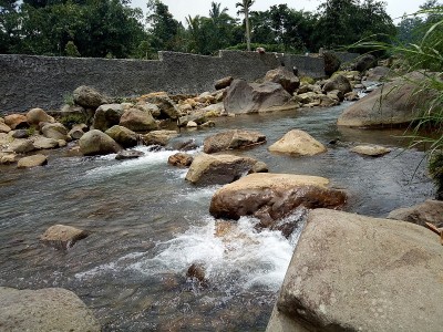 自然河流