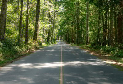 在路上