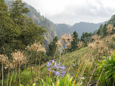 马德拉岛