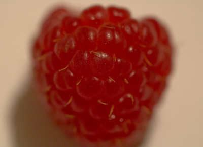 一个Rasperry