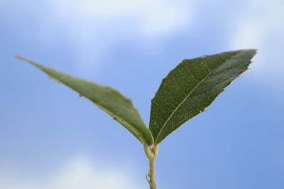 新拍摄