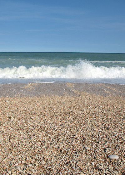 海滩在夏季