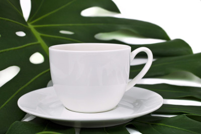 一杯放在巨叶上的茶