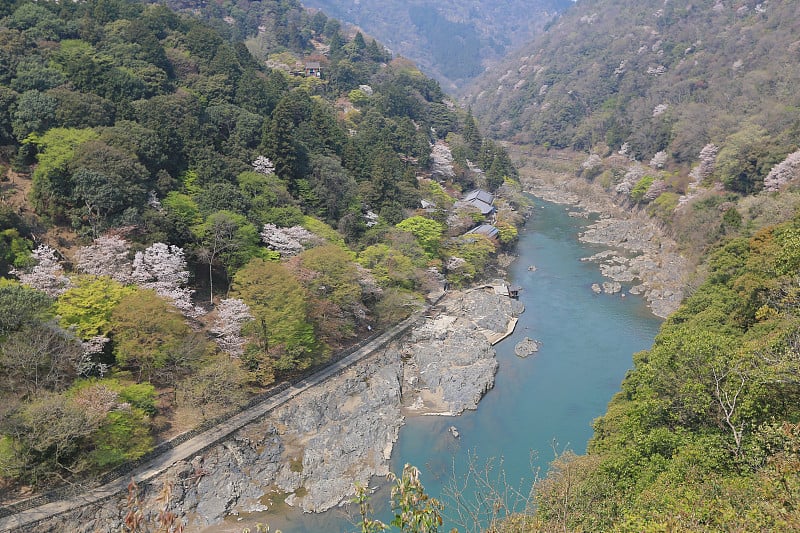 春天的岚山