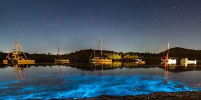 在海湾的夜景中，船只发出生物荧光