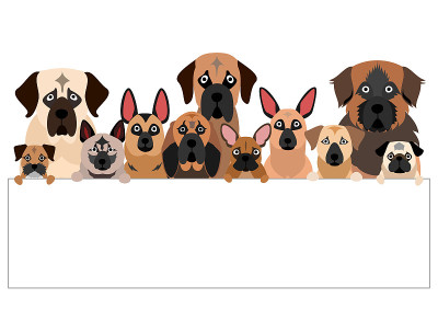一群带白板的黑口犬