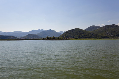 Skadar湖。黑山。