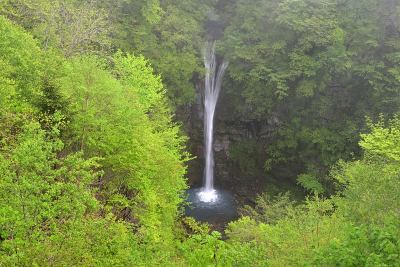 日本枥木，那须，夏日碧水瀑布