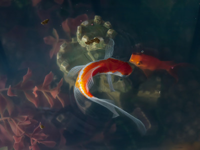 水族馆