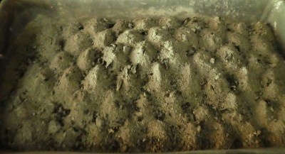炉膛里的灰烬