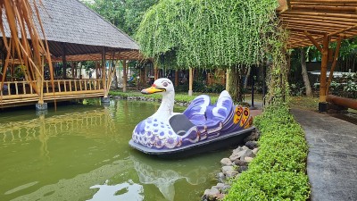 湖上的鸭船供家庭娱乐