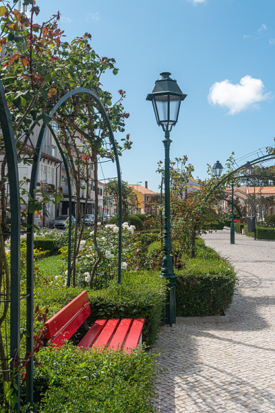 Jardim dos Campos位于著名小说家Júlio Dínis居住的房子前面。