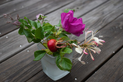 pink rose on wooden background