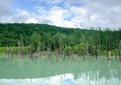 北海道北镇志根蓝塘
