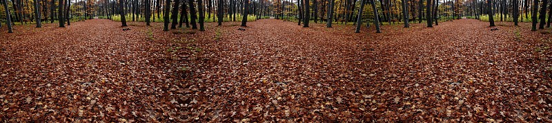 来自柏林城市公园(Volkspark)雷伯格的对称印象