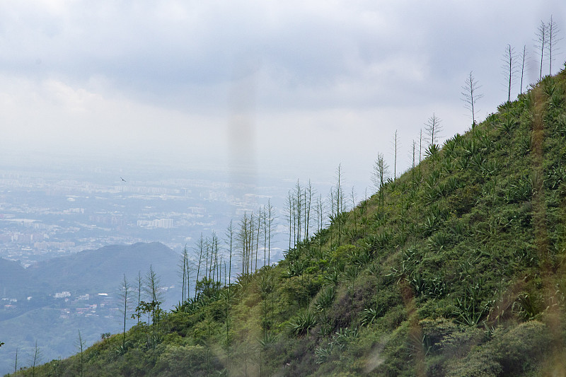 卡利附近的山景