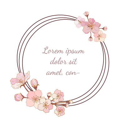 苹果花的几何框架。