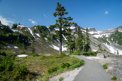 华盛顿州贝克山国家休闲区的石南草甸地区