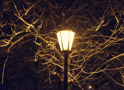 灯笼夜雪树