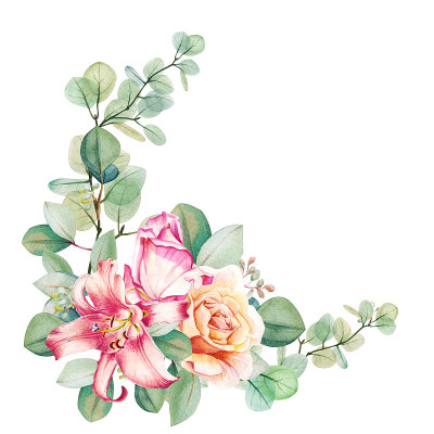 水彩花桉树，粉红色和茶橙玫瑰与百合花束圆框架模板。手绘花环。花团锦簇，怒放。