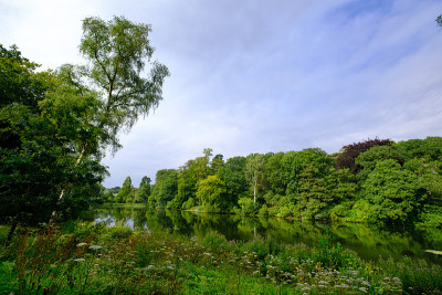 在英国西约克郡的Harewood房屋信托地区，树木、树叶和鱼塘的美丽风景