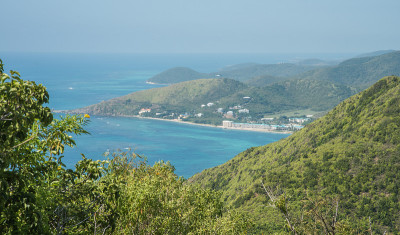 海岸线及岛屿绿化