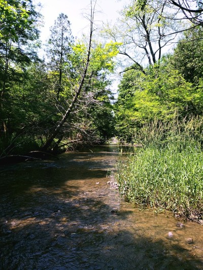 荒野溪