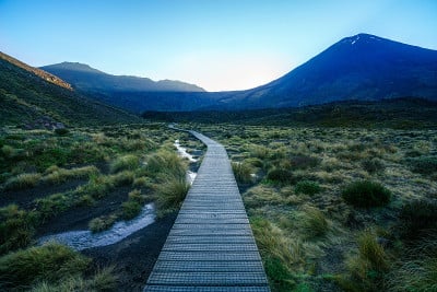 高山交界处，火山，mt。ngaruhoe，日出，新西兰6