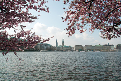 Binnenalster在春天