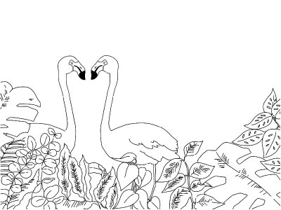 插图插图的火烈鸟和植物的叶子