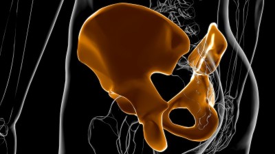 人体骨骼髋部或骨盆骨解剖医学概念3D