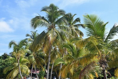 Cayo Levantado, 多米尼加共和国
