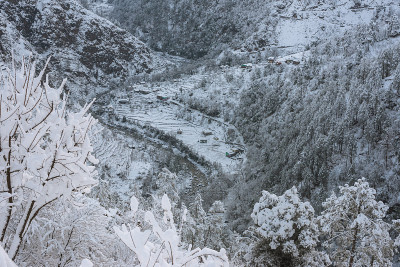 雄伟的冬季景观在喜马拉雅山-印度