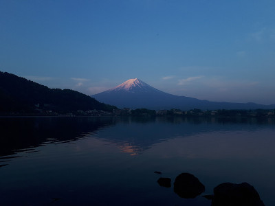 蒙特富士