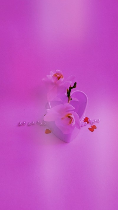 情人节兰花心珠
