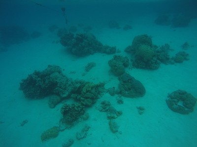 环礁的边缘和沙天堂在Truk泻湖，Chuuk