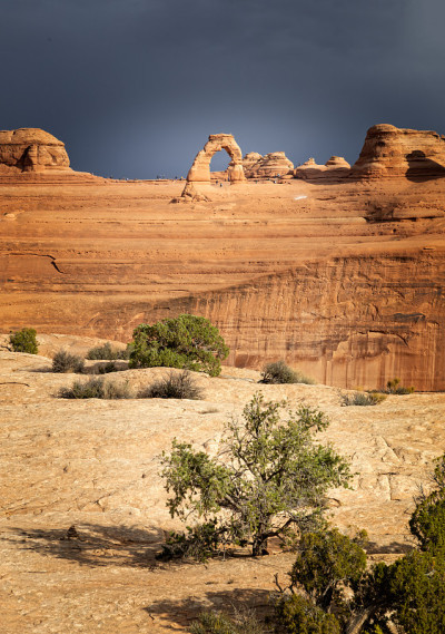 Upper Delicate Arch Viewpoint，拱门国家公园，犹他州，美国