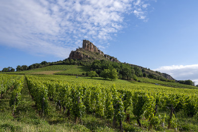罗氏旅游景点Solutré在勃艮第葡萄酒路线Saône-et-Loire