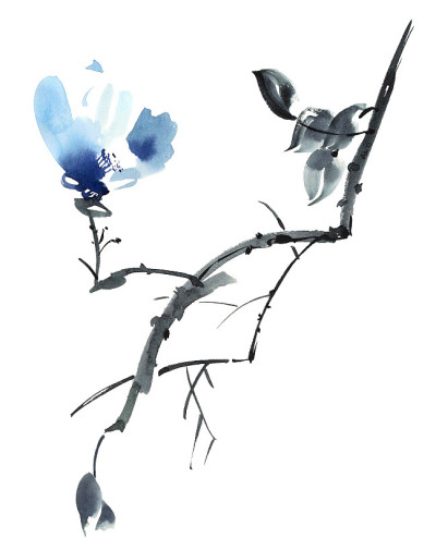 蓝色花朵插图