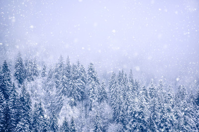 山上大雪纷飞