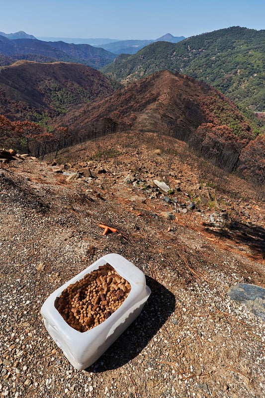 在Jubrique，马拉加将军谷与Sierra Bermeja接壤的地方，帮助动物们在火里拿食物。西